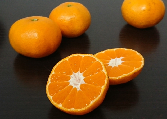 極早生温州みかん