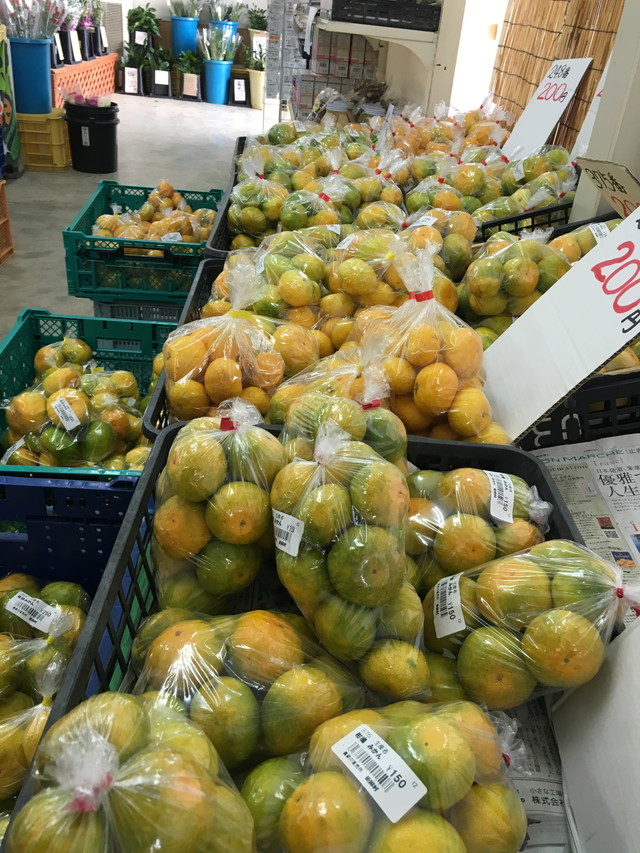 直売所のみかん販売
