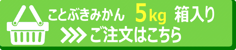 ことぶきみかん5キロ箱のご注文はこちら